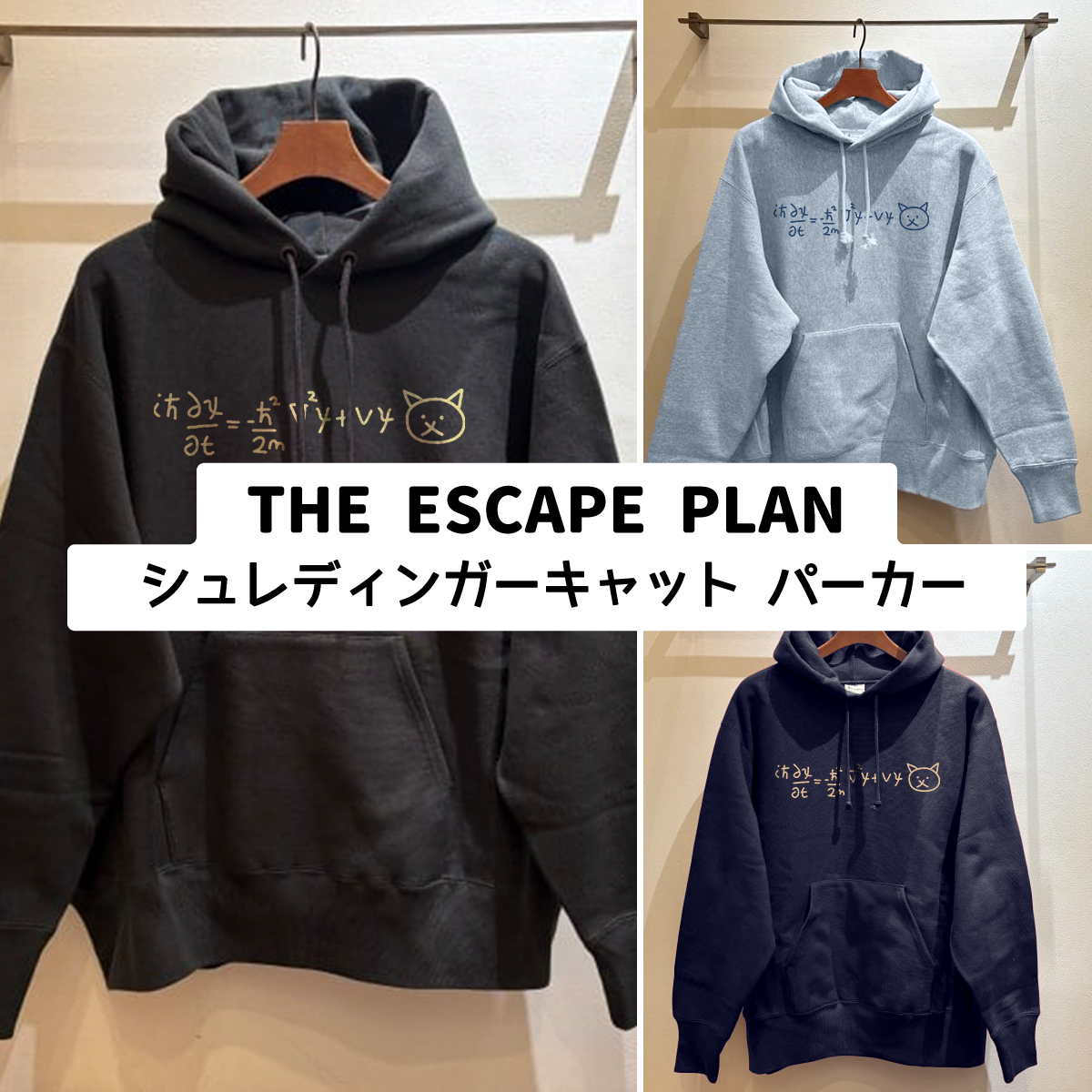 箱の中の猫、脱出計画中🐱💫