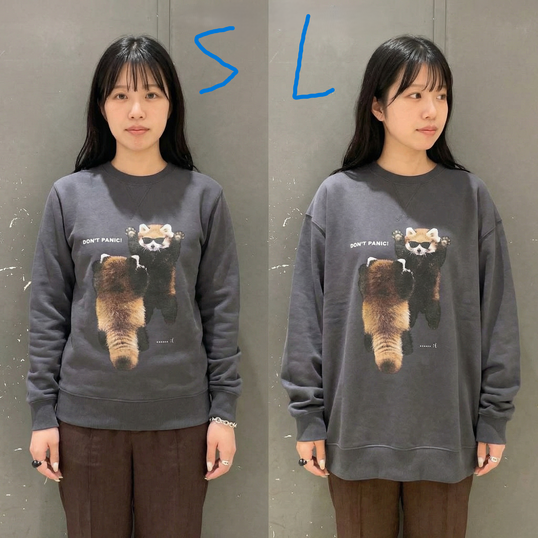 サイズ感を比べてみた!