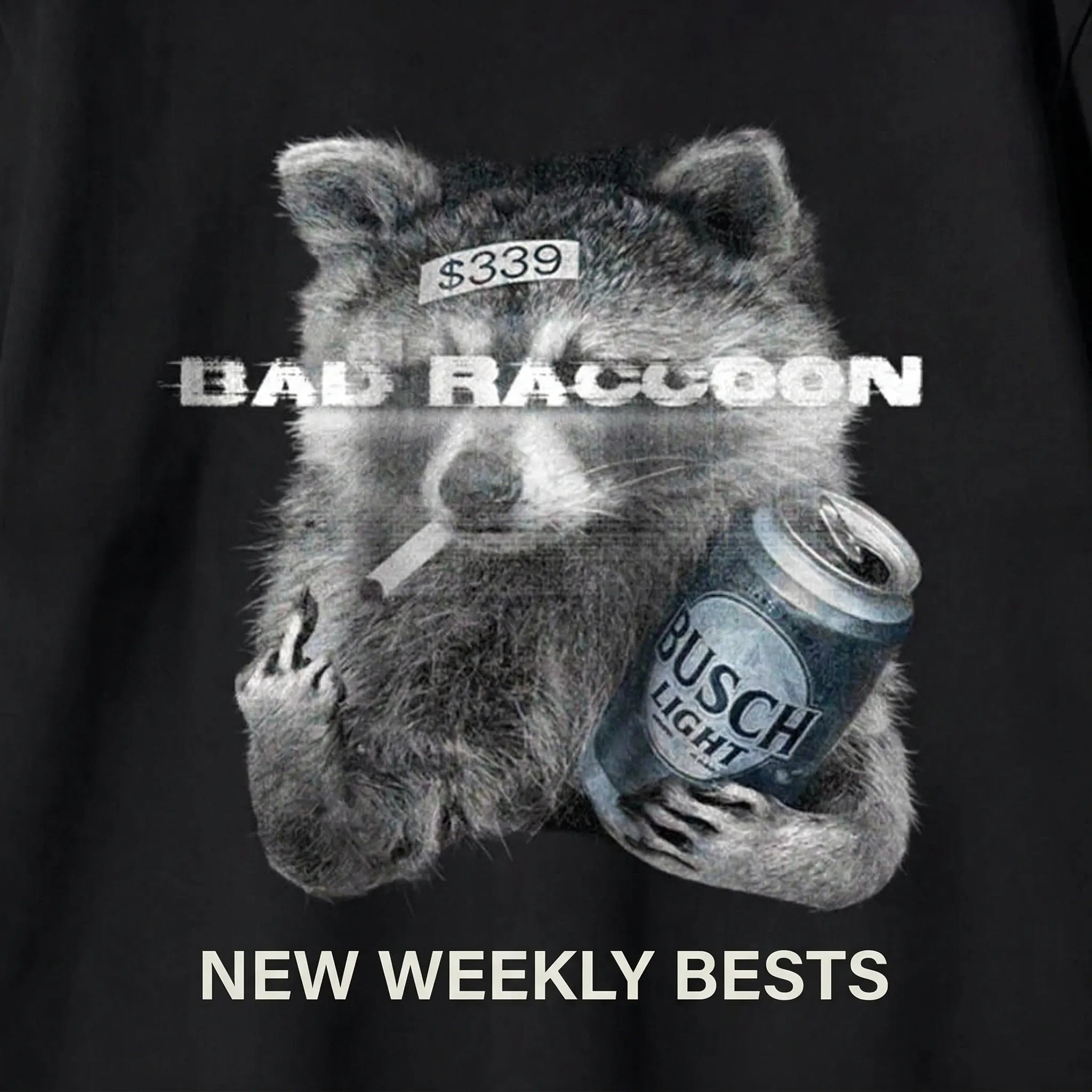 先週のNew Top5 🐾