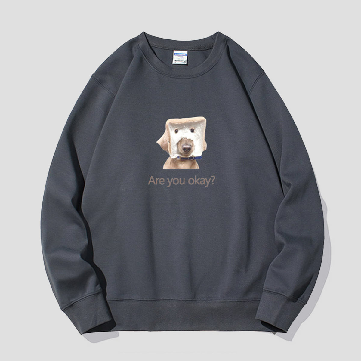 ARE YOU OKAY? ドッグ グラフィックスウェット