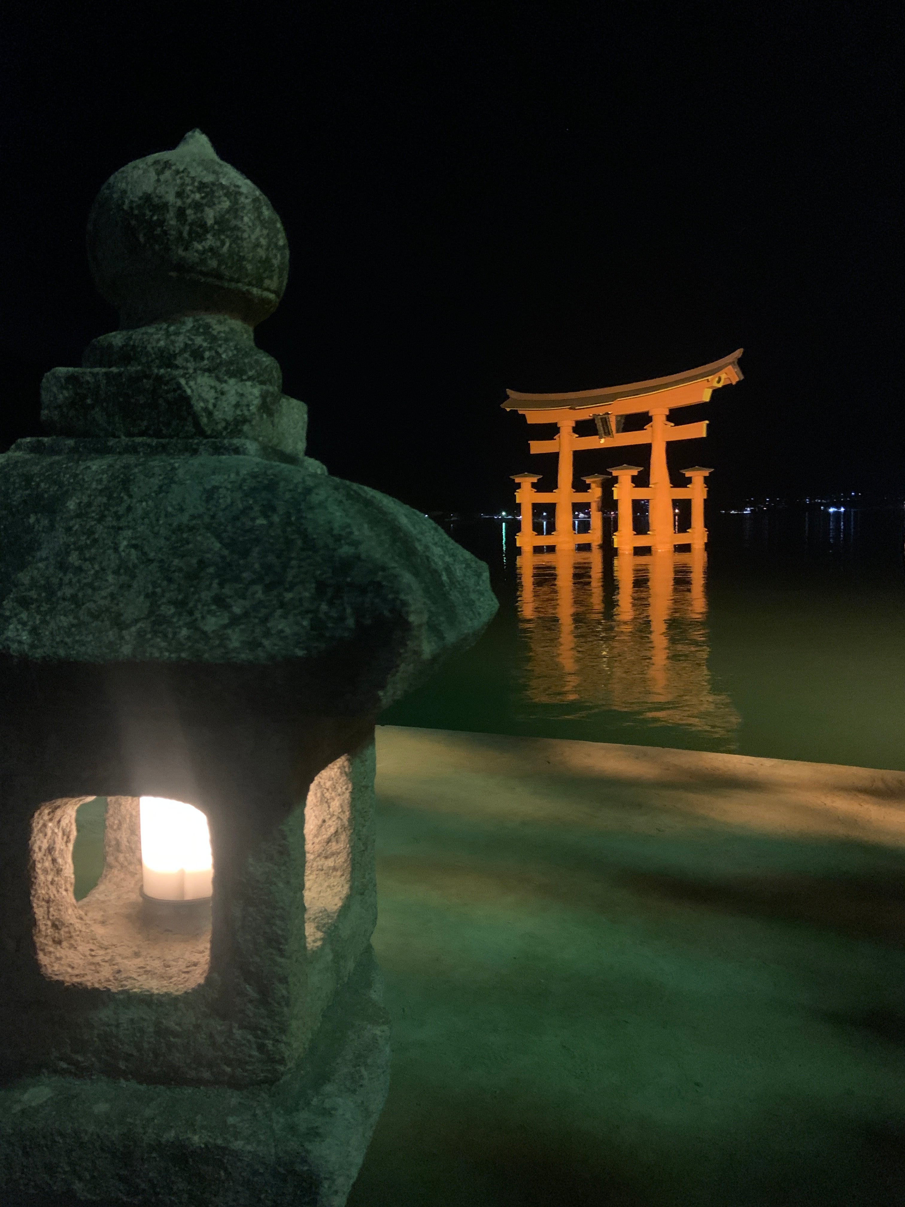 厳島神社へ夜のお散歩🌙🐾