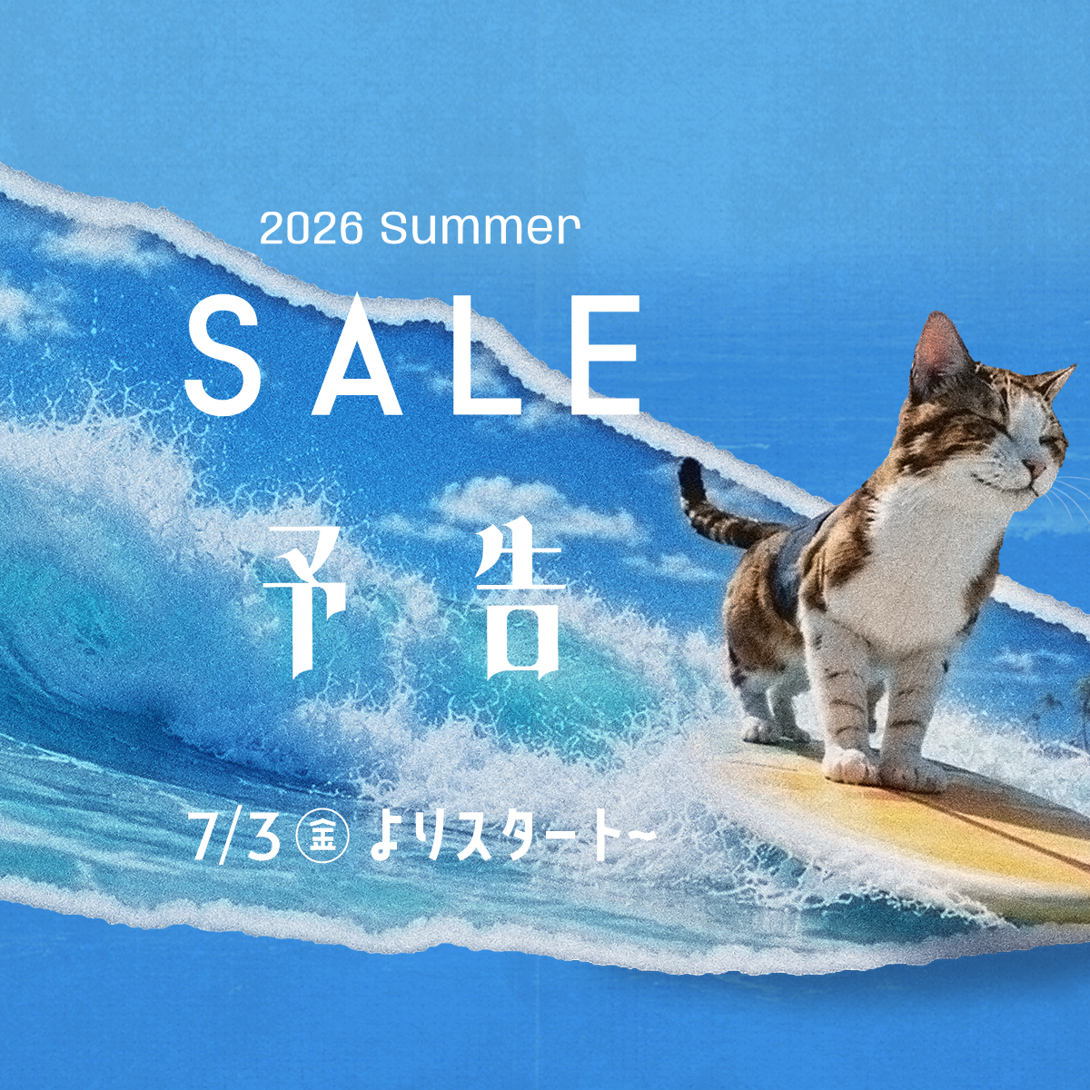 夏セール「予告」☀️