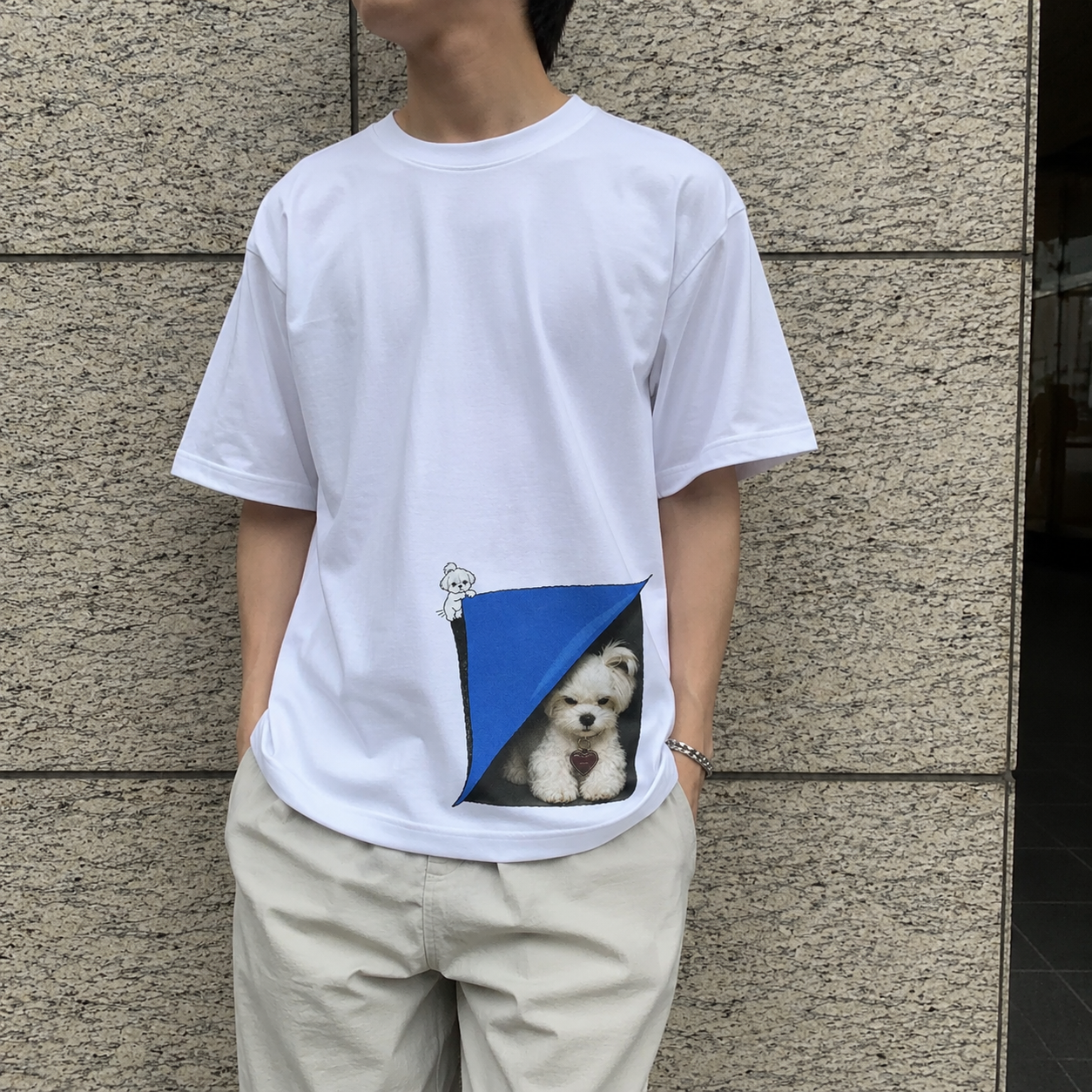 だまし絵系グラフィック