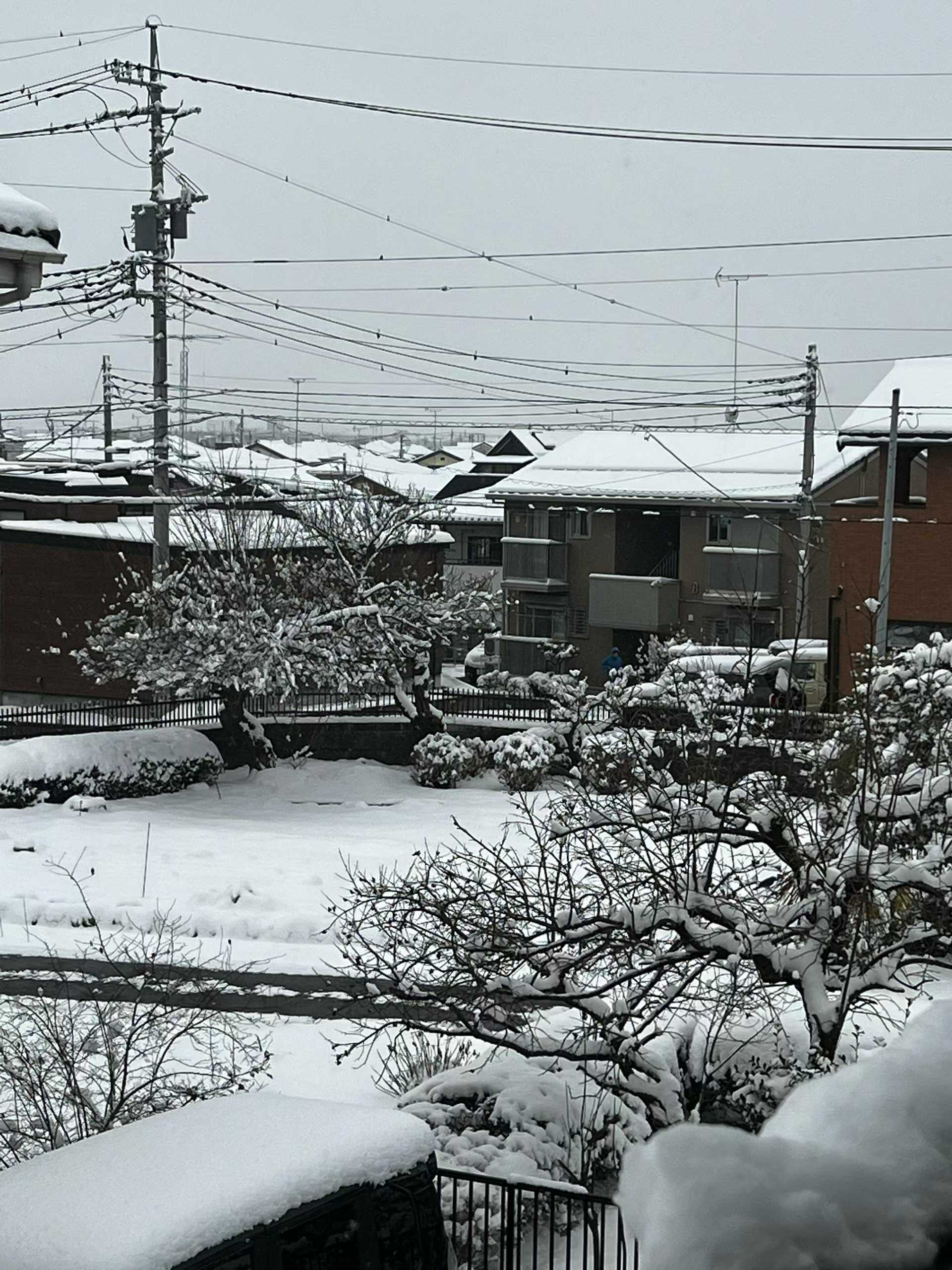 大雪でした！