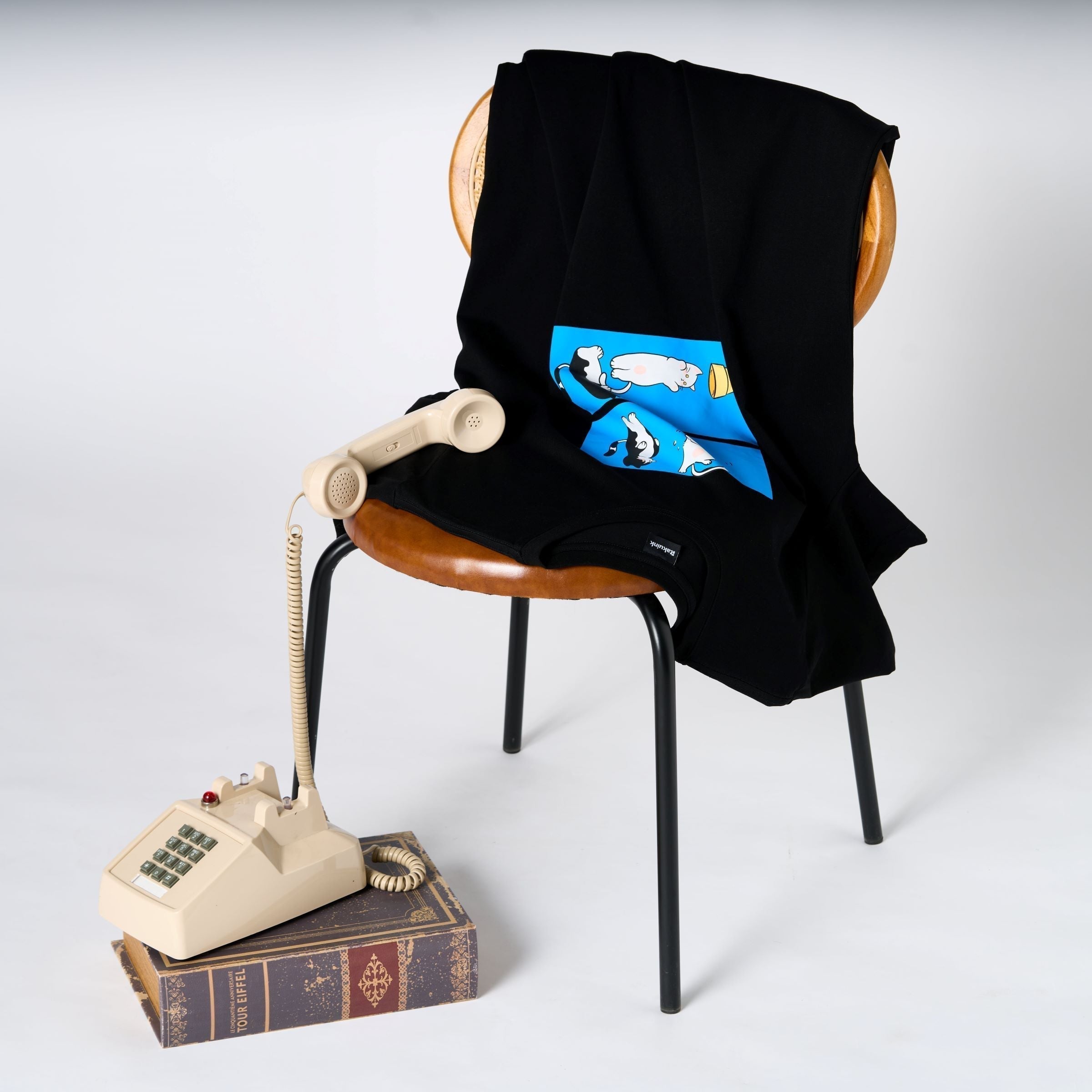 🍨「コーンに落ちた！？猫の夏日事件」