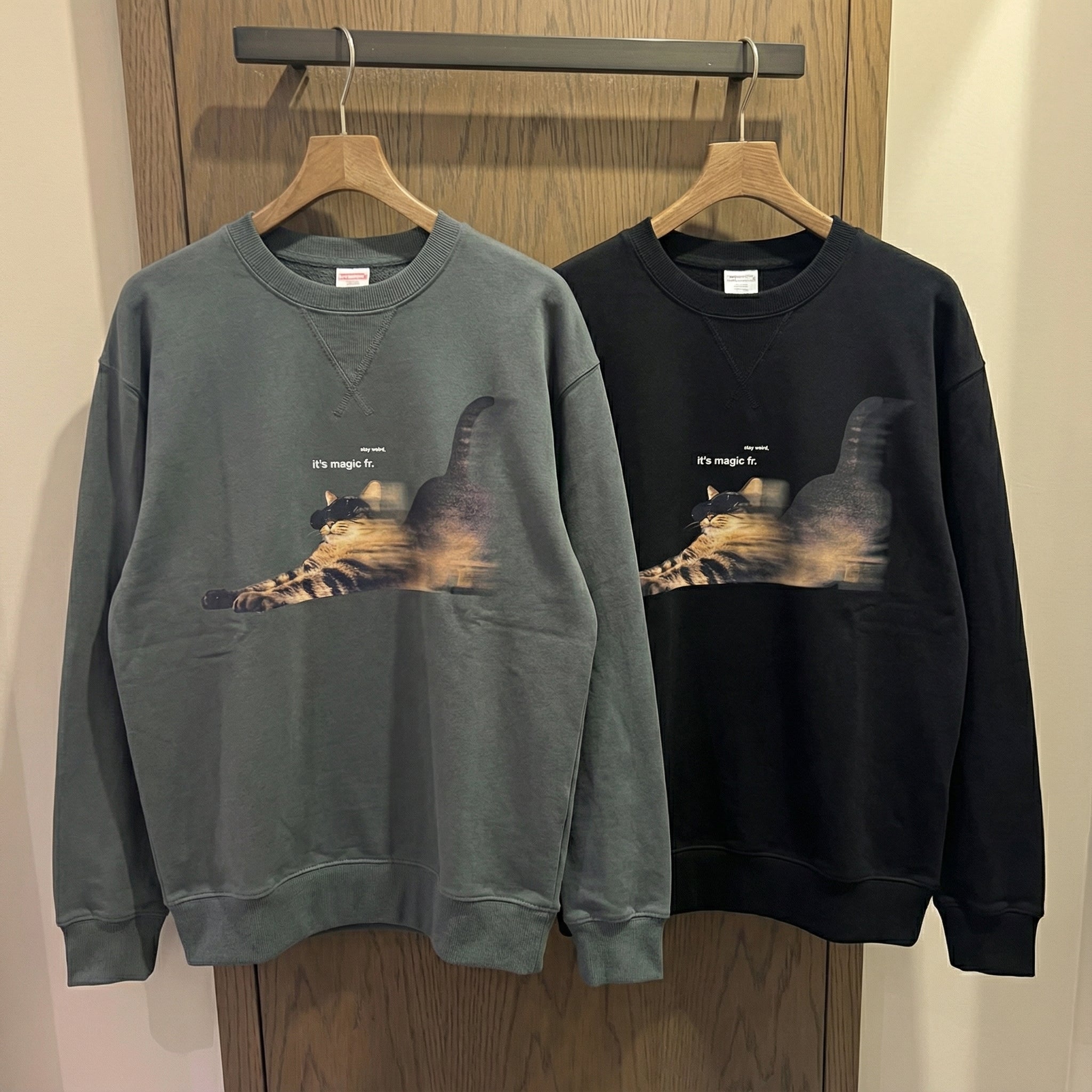 のびのびして〜🐾