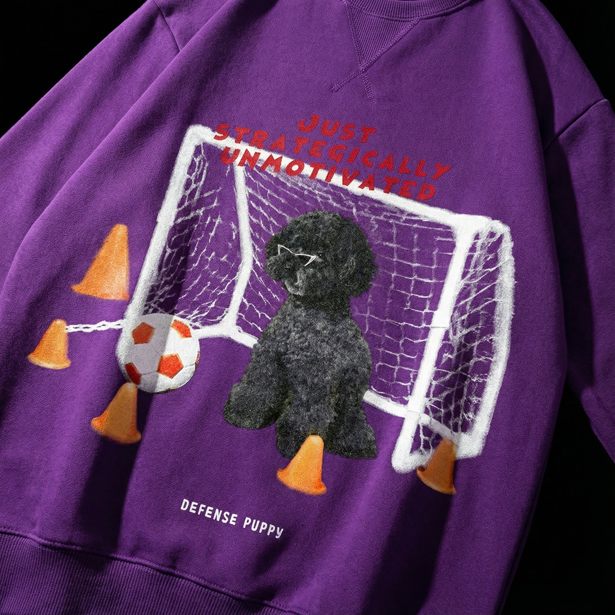 今日のスウェット