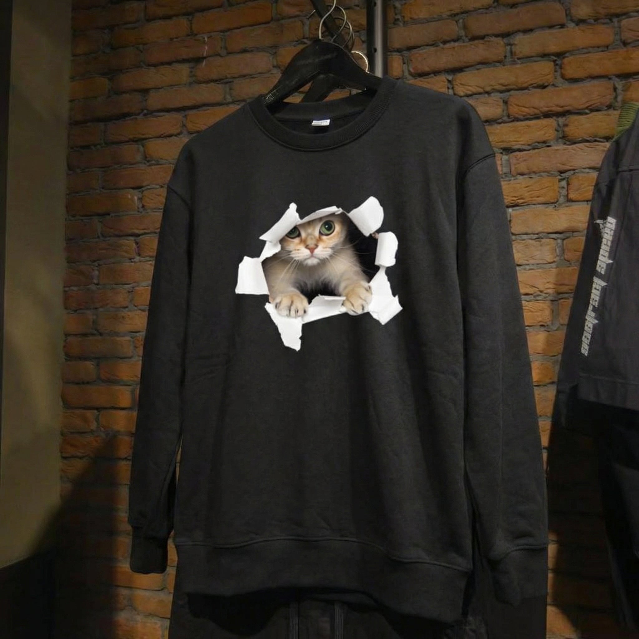 紙が破れていたので、猫がいました。