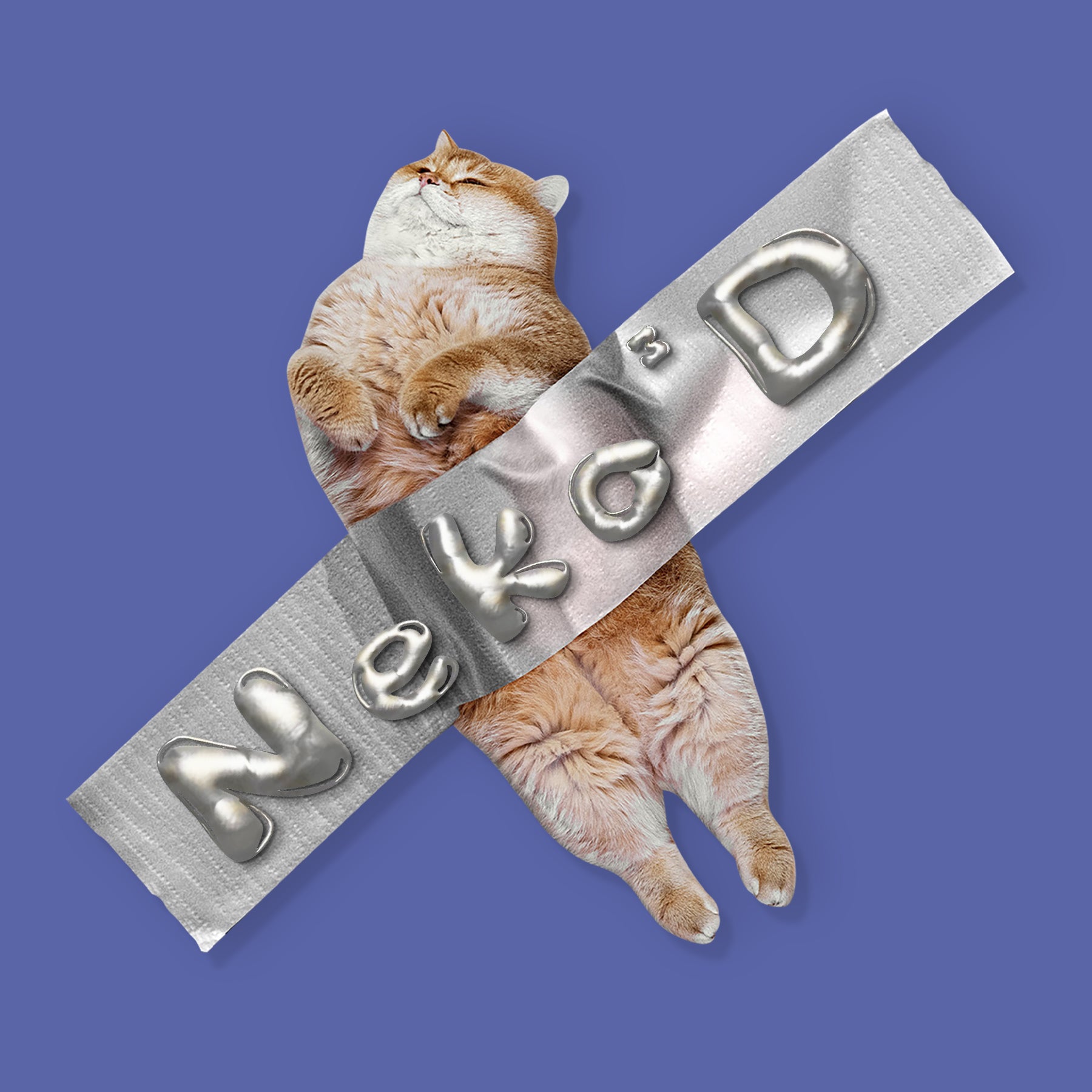 【HDEX】 Chunsik Muscle Cat Keyring / 追跡付 HDEX】 Chunsik Muscle Cat Keyring / 追跡付 XDPQQ European