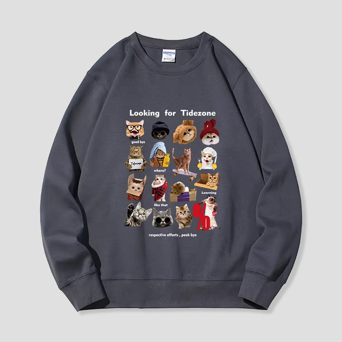 タイドゾーン・インフォオーバーロード スウェット