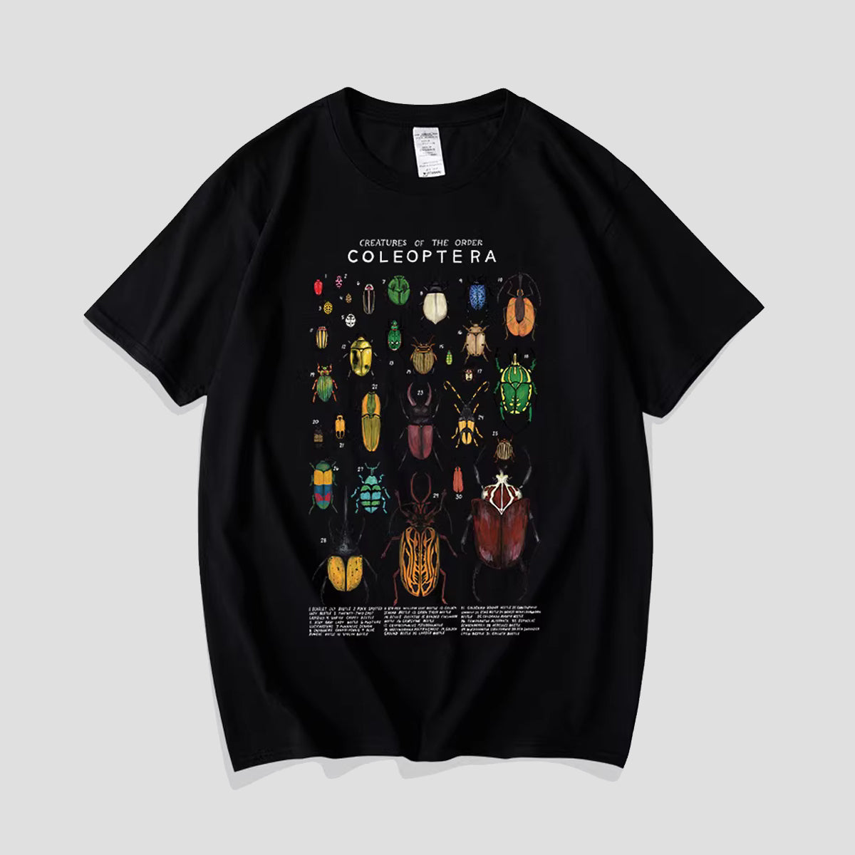 ビートルコレクションTシャツ