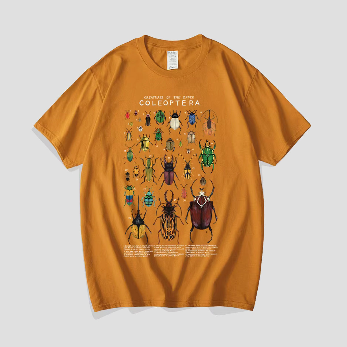 ビートルコレクションTシャツ
