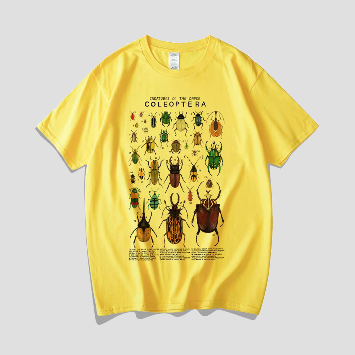 ビートルコレクションTシャツ