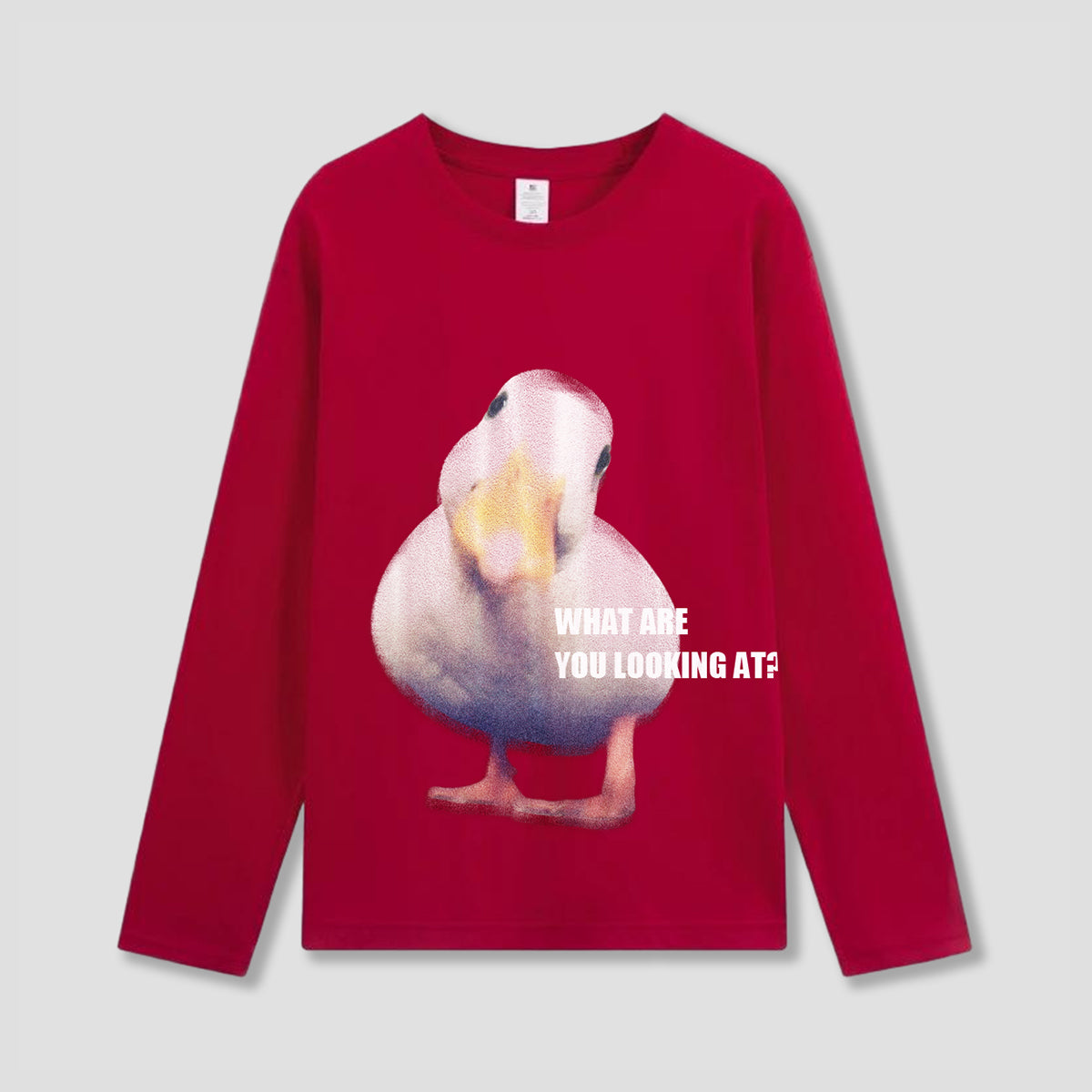 【予約】「なに見てんの？」ダックフォト ロングスリーブ