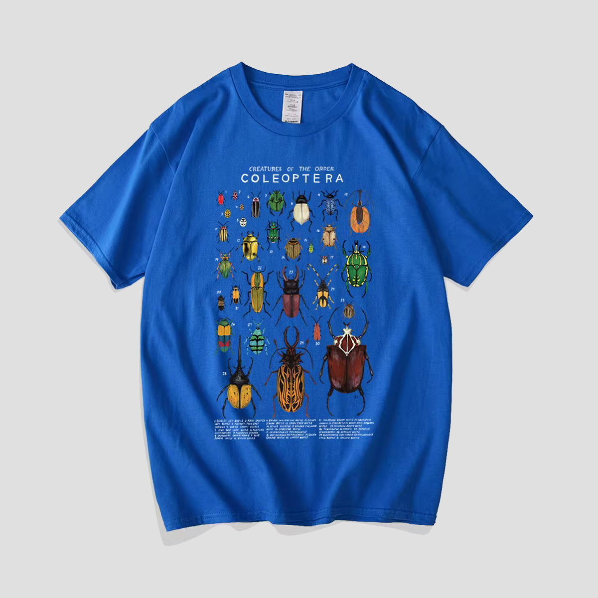 ビートルコレクションTシャツ